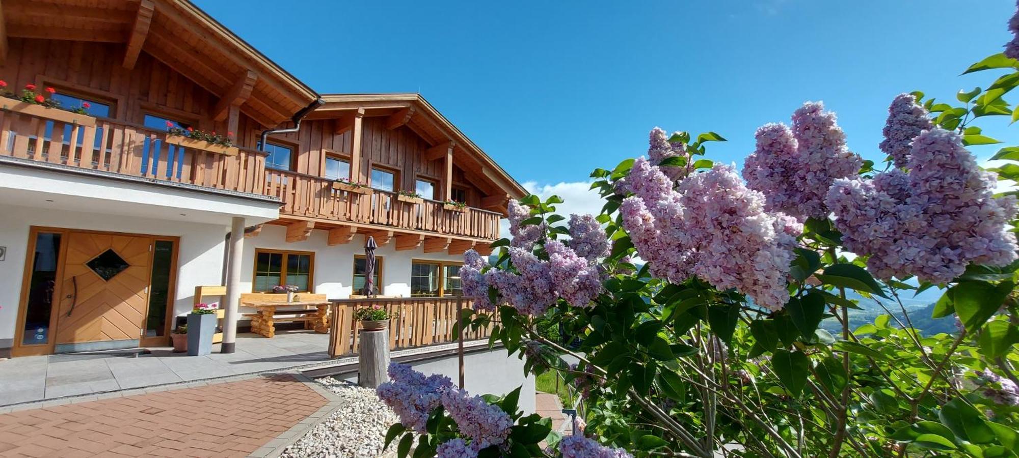 La Montana - Ski & Hiking Lodge Schladming Εξωτερικό φωτογραφία